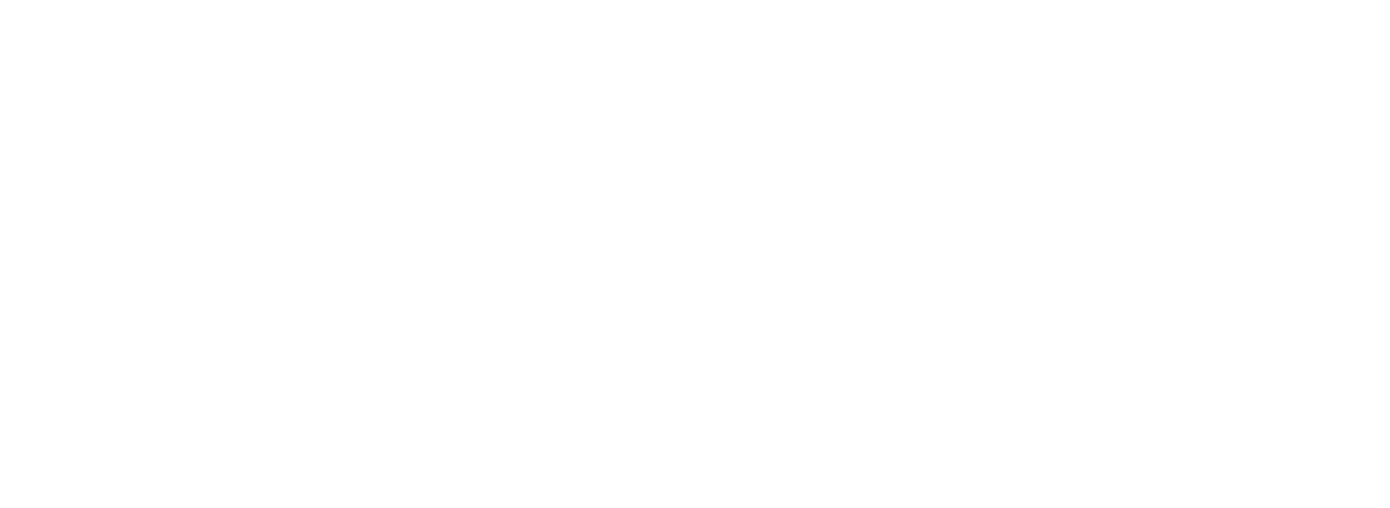 Trentium_Solutions_Logo